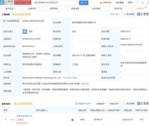 軟件開發(fā)與信息技術咨詢服務 驅動數字化轉型的雙引擎